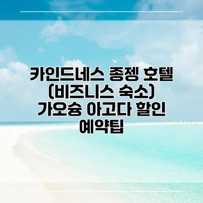 카인드네스 종젱 호텔 (비즈니스 숙소) 가오슝 아고다 할인 예약팁