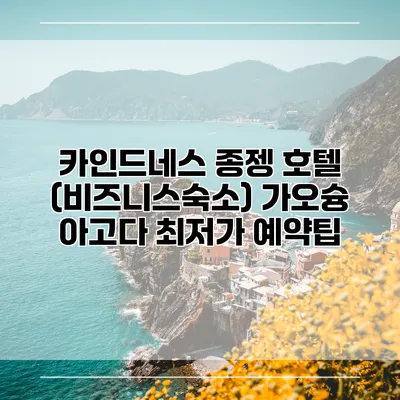 카인드네스 종젱 호텔 (비즈니스숙소) 가오슝 아고다 최저가 예약팁