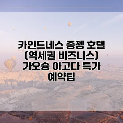 카인드네스 종젱 호텔 (역세권 비즈니스) 가오슝 아고다 특가 예약팁
