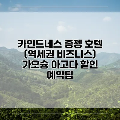카인드네스 종젱 호텔 (역세권 비즈니스) 가오슝 아고다 할인 예약팁