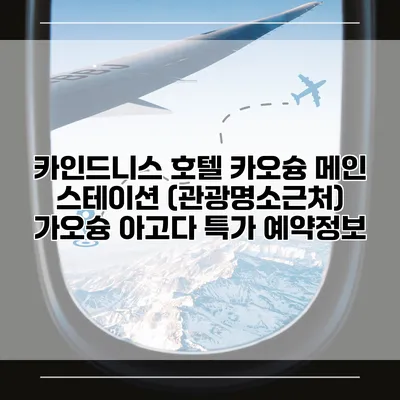 카인드니스 호텔 카오슝 메인 스테이션 (관광명소근처) 가오슝 아고다 특가 예약정보