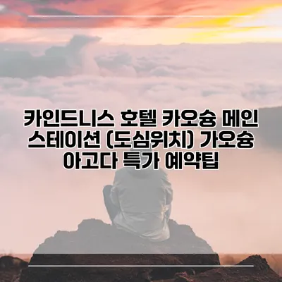 카인드니스 호텔 카오슝 메인 스테이션 (도심위치) 가오슝 아고다 특가 예약팁