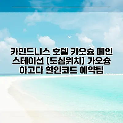 카인드니스 호텔 카오슝 메인 스테이션 (도심위치) 가오슝 아고다 할인코드 예약팁