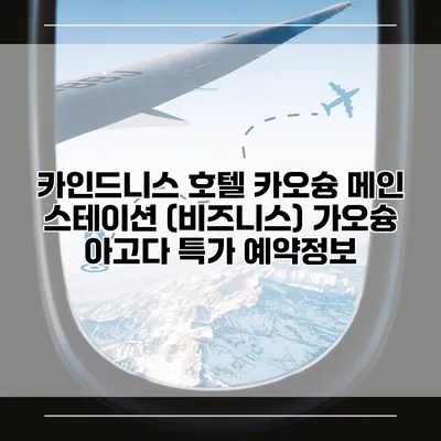 카인드니스 호텔 카오슝 메인 스테이션 (비즈니스) 가오슝 아고다 특가 예약정보