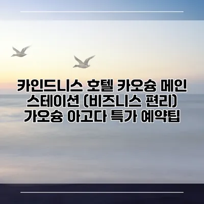 카인드니스 호텔 카오슝 메인 스테이션 (비즈니스 편리) 가오슝 아고다 특가 예약팁