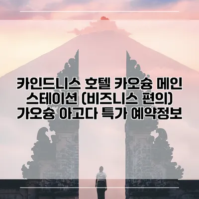 카인드니스 호텔 카오슝 메인 스테이션 (비즈니스 편의) 가오슝 아고다 특가 예약정보