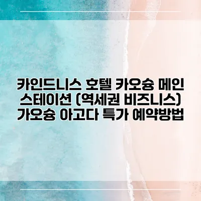 카인드니스 호텔 카오슝 메인 스테이션 (역세권 비즈니스) 가오슝 아고다 특가 예약방법