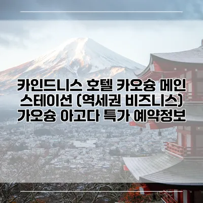 카인드니스 호텔 카오슝 메인 스테이션 (역세권 비즈니스) 가오슝 아고다 특가 예약정보