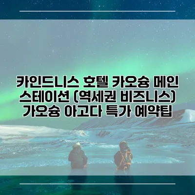 카인드니스 호텔 카오슝 메인 스테이션 (역세권 비즈니스) 가오슝 아고다 특가 예약팁