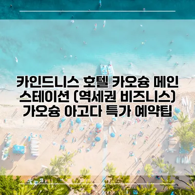 카인드니스 호텔 카오슝 메인 스테이션 (역세권 비즈니스) 가오슝 아고다 특가 예약팁