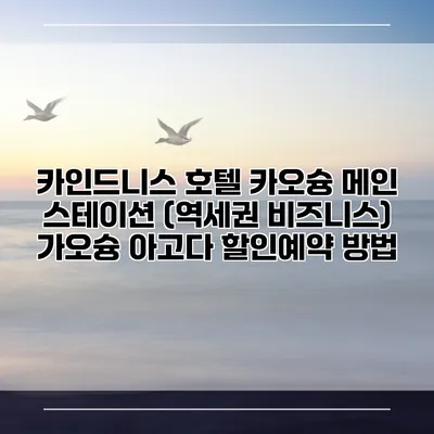 카인드니스 호텔 카오슝 메인 스테이션 (역세권 비즈니스) 가오슝 아고다 할인예약 방법