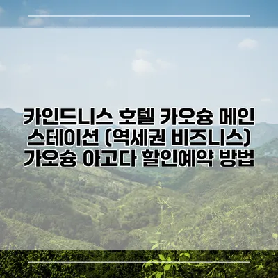 카인드니스 호텔 카오슝 메인 스테이션 (역세권 비즈니스) 가오슝 아고다 할인예약 방법