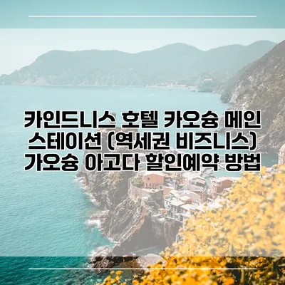 카인드니스 호텔 카오슝 메인 스테이션 (역세권 비즈니스) 가오슝 아고다 할인예약 방법