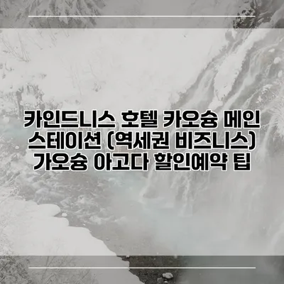 카인드니스 호텔 카오슝 메인 스테이션 (역세권 비즈니스) 가오슝 아고다 할인예약 팁