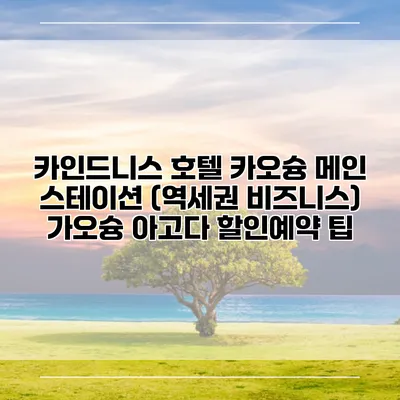 카인드니스 호텔 카오슝 메인 스테이션 (역세권 비즈니스) 가오슝 아고다 할인예약 팁