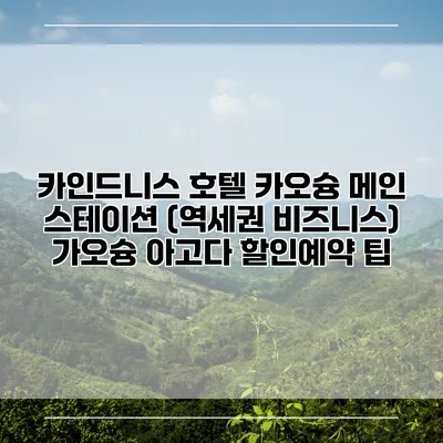 카인드니스 호텔 카오슝 메인 스테이션 (역세권 비즈니스) 가오슝 아고다 할인예약 팁