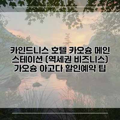 카인드니스 호텔 카오슝 메인 스테이션 (역세권 비즈니스) 가오슝 아고다 할인예약 팁