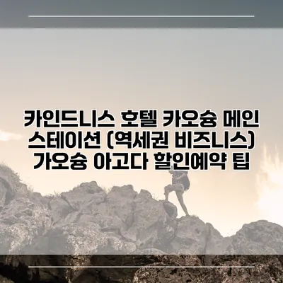 카인드니스 호텔 카오슝 메인 스테이션 (역세권 비즈니스) 가오슝 아고다 할인예약 팁