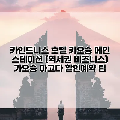카인드니스 호텔 카오슝 메인 스테이션 (역세권 비즈니스) 가오슝 아고다 할인예약 팁