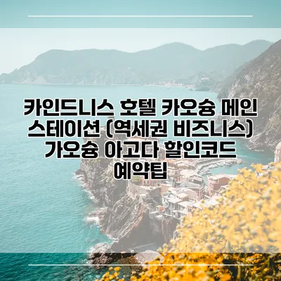 카인드니스 호텔 카오슝 메인 스테이션 (역세권 비즈니스) 가오슝 아고다 할인코드 예약팁