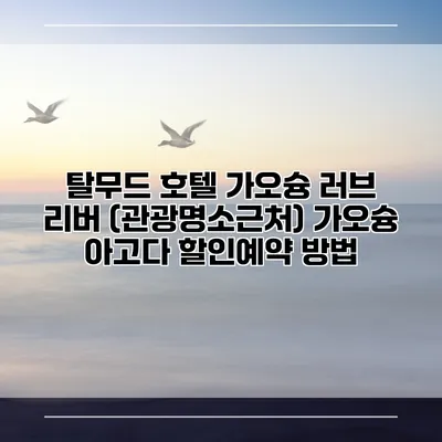 탈무드 호텔 가오슝 러브 리버 (관광명소근처) 가오슝 아고다 할인예약 방법