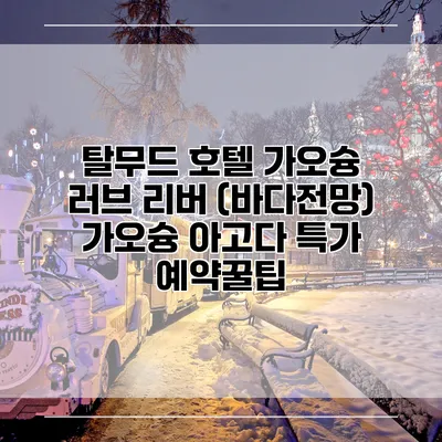 탈무드 호텔 가오슝 러브 리버 (바다전망) 가오슝 아고다 특가 예약꿀팁