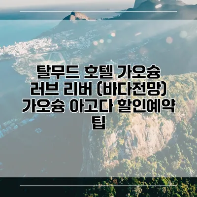 탈무드 호텔 가오슝 러브 리버 (바다전망) 가오슝 아고다 할인예약 팁
