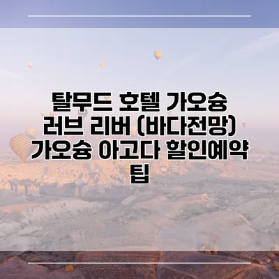 탈무드 호텔 가오슝 러브 리버 (바다전망) 가오슝 아고다 할인예약 팁