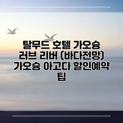 탈무드 호텔 가오슝 러브 리버 (바다전망) 가오슝 아고다 할인예약 팁