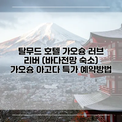 탈무드 호텔 가오슝 러브 리버 (바다전망 숙소) 가오슝 아고다 특가 예약방법
