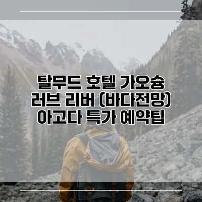 탈무드 호텔 가오슝 러브 리버 (바다전망) 아고다 특가 예약팁