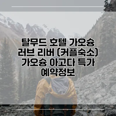 탈무드 호텔 가오슝 러브 리버 (커플숙소) 가오슝 아고다 특가 예약정보