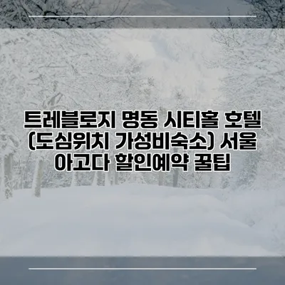 트레블로지 명동 시티홀 호텔 (도심위치 가성비숙소) 서울 아고다 할인예약 꿀팁
