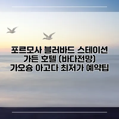 포르모사 블러바드 스테이션 가든 호텔 (바다전망) 가오슝 아고다 최저가 예약팁