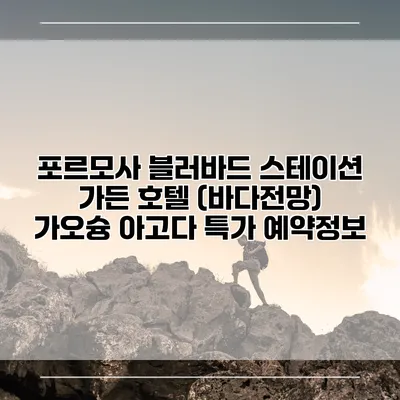 포르모사 블러바드 스테이션 가든 호텔 (바다전망) 가오슝 아고다 특가 예약정보