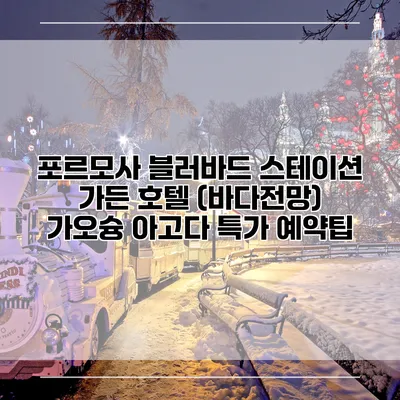 포르모사 블러바드 스테이션 가든 호텔 (바다전망) 가오슝 아고다 특가 예약팁