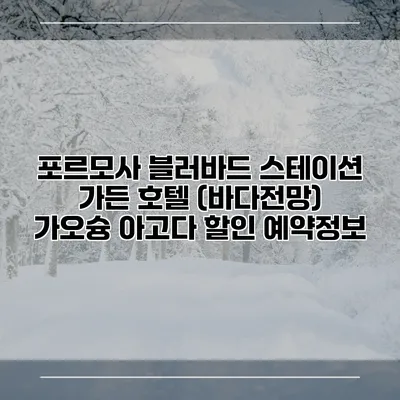 포르모사 블러바드 스테이션 가든 호텔 (바다전망) 가오슝 아고다 할인 예약정보