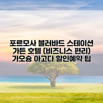 포르모사 블러바드 스테이션 가든 호텔 (비즈니스 편리) 가오슝 아고다 할인예약 팁