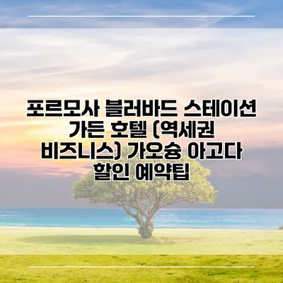 포르모사 블러바드 스테이션 가든 호텔 (역세권 비즈니스) 가오슝 아고다 할인 예약팁