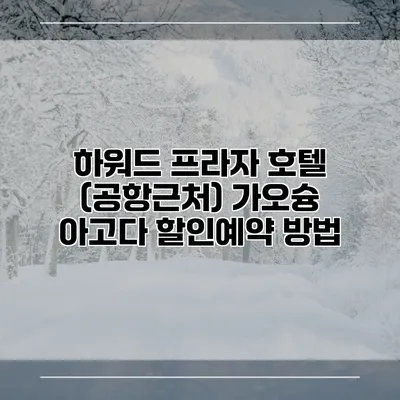 하워드 프라자 호텔 (공항근처) 가오슝 아고다 할인예약 방법