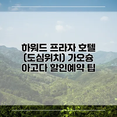 하워드 프라자 호텔 (도심위치) 가오슝 아고다 할인예약 팁