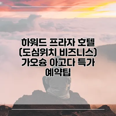 하워드 프라자 호텔 (도심위치 비즈니스) 가오슝 아고다 특가 예약팁