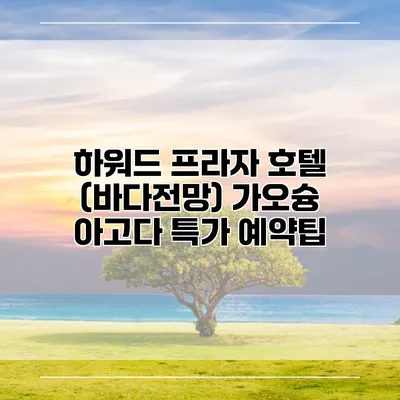 하워드 프라자 호텔 (바다전망) 가오슝 아고다 특가 예약팁
