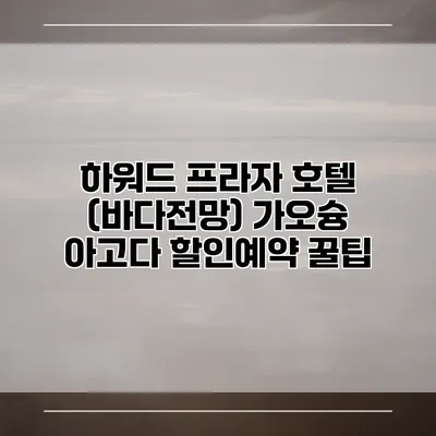 하워드 프라자 호텔 (바다전망) 가오슝 아고다 할인예약 꿀팁