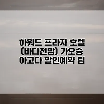 하워드 프라자 호텔 (바다전망) 가오슝 아고다 할인예약 팁