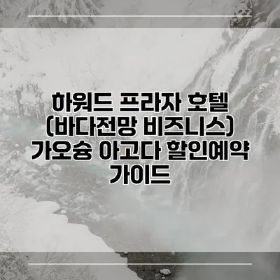 하워드 프라자 호텔 (바다전망 비즈니스) 가오슝 아고다 할인예약 가이드