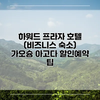 하워드 프라자 호텔 (비즈니스 숙소) 가오슝 아고다 할인예약 팁