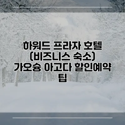 하워드 프라자 호텔 (비즈니스 숙소) 가오슝 아고다 할인예약 팁