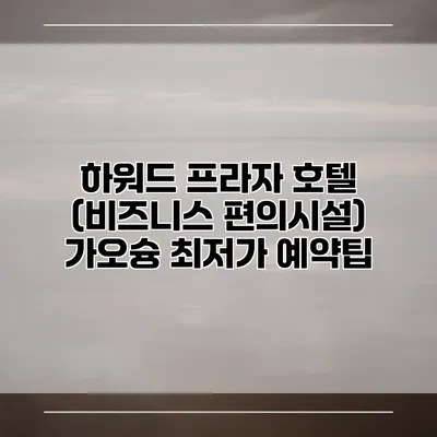하워드 프라자 호텔 (비즈니스 편의시설) 가오슝 최저가 예약팁