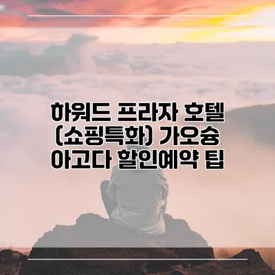 하워드 프라자 호텔 (쇼핑특화) 가오슝 아고다 할인예약 팁